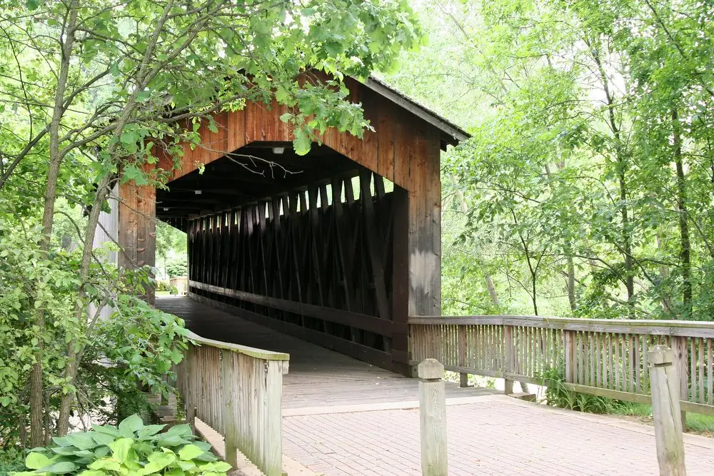 forest hills